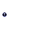 Logo do Crypto Leo